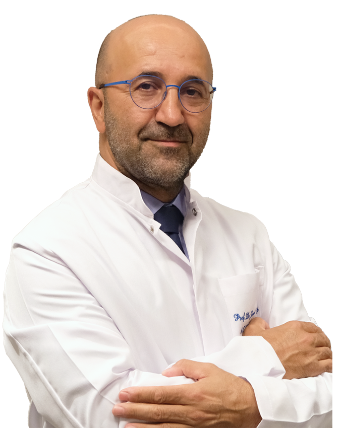 Prof. M.D. Javad Parvizi